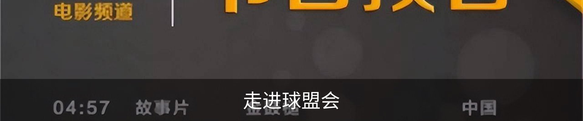 走进球盟会